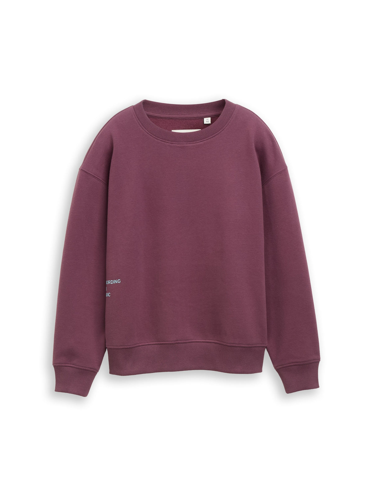 Oversize Sweatshirt mit Rückenprint